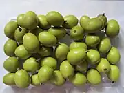 錫蘭橄欖Ceylon olive