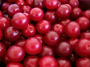 櫻桃李Cherry plum