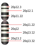 20號染色體