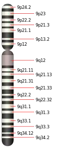 9號染色體