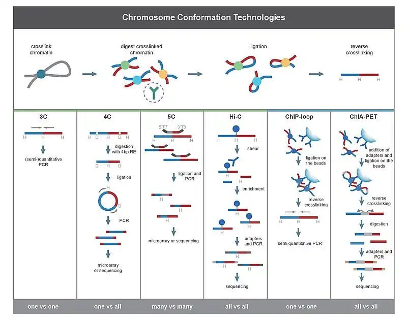 Comparison among 3C and its derived methods.