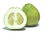 柚Pomelo