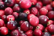 大蔓越梅（英语：）Cranberry