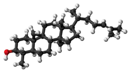 Ball-and-stick model of cycloartenol