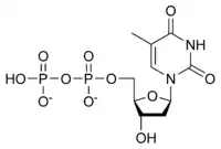 Chemical structure of deoxythymidine diphosphate