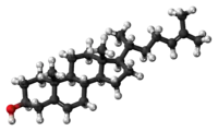 Ball-and-stick model of the desmosterol molecule