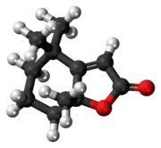 Ball-and-stick model of the dihydroactinidiolide molecule