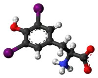 Ball-and-stick model of the diiodotyrosine molecule as a zwitterion