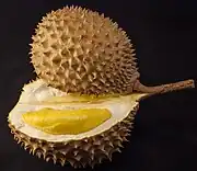 榴槤Durian