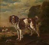 A spaniel (1653)