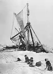  A line of seated dogs looks at a wrecked tangle of masts, rigging and sails