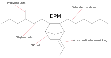 The skeletal formula of ethylene propylene rubber (EPDM)