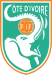 Shirt badge/Association crest