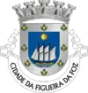 Figueira da Foz徽章