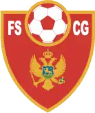 Shirt badge/Association crest