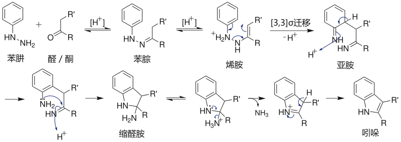 Fischer吲哚合成 机理