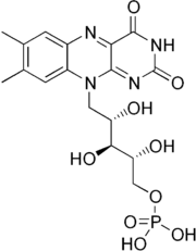 Skeletal formula of flavin mononucleotide