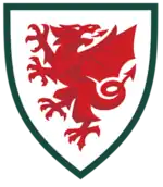 Shirt badge/Association crest