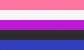 Genderfluid pride flag, made up of horizontal stripes of, from top to bottom, pink, white, purple, black, and blue.