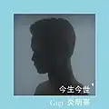 今生今世单曲封面