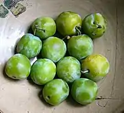 青梅李Greengage