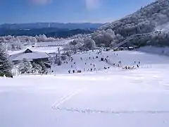 茶臼山高原滑雪场（北设乐郡丰根村）