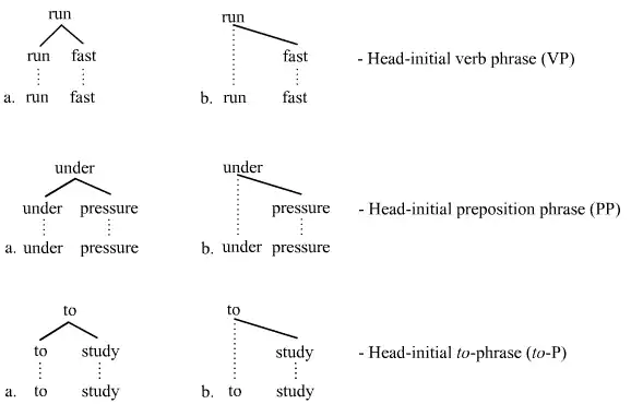 Head-initial trees