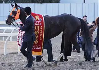 2015年冠軍「北港火山」