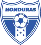 Shirt badge/Association crest