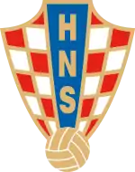 Shirt badge/Association crest