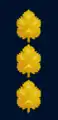 Aluf-Mishne (captain) insignia of the Israeli Navy