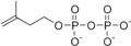 異戊烯焦磷酸（Isopentenyl pyrophosphate, IPP）