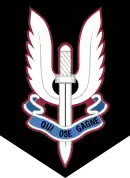 Insigne de béret du 1er RPIMA "Qui ose gagne"