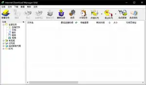 IDM主，运行于Windows 10