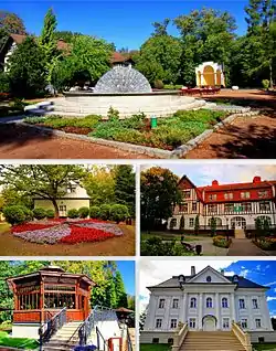 Top: Spa Park, Middle left: Rehabilitation Centre, Middle right: Spa House, Bottom left: Japanese bridge and 'Dąbrówka' palace, Bottom right: University Library.