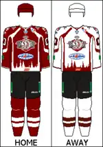 Jerseys for 2013/2014 season