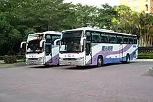 DAEWOO BUS