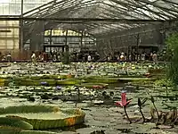 掛川花鳥園