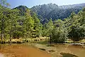 田代池，背景是六百山