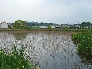 車站遠景