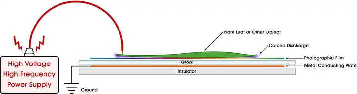 Typical Kirlian photography setup (cross-section)