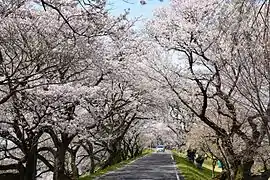 木曾川堤