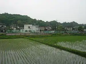 遠眺鴻野山車站