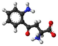 Ball-and-stick model of the L-kynurenine molecule as a zwitterion