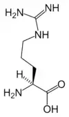 L-精氨酸(Arg / R)