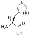 L-組氨酸(His / H)