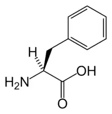 L-苯丙氨酸(Phe / F)