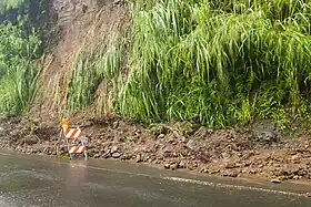 道路被山泥傾瀉產生的泥土和植物殘骸覆蓋