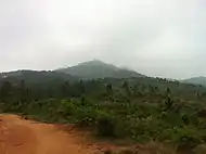 廉江市长山镇作长山河山路