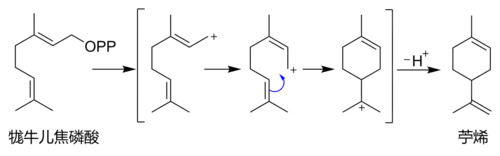 从牻牛儿焦磷酸合成柠烯的过程